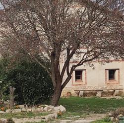 Horario de apertura Casa Rural Don Diego, Casasola de Arión