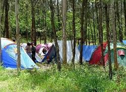 Horario de apertura Camping La Enfermeria, Pelayos