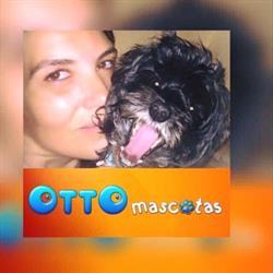 Horario de apertura OTTO mascotas, San Cristóbal de La Laguna
