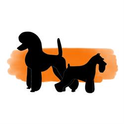 Horario de apertura Bella Can Peluquería Canina, Marbella