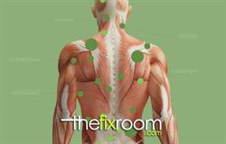 Horario de apertura The Fix Room - Centro de masajes en Madrid, 