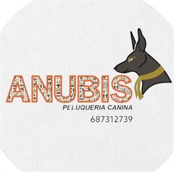 Horario de apertura Peluqueria ANUBIS, Buñol