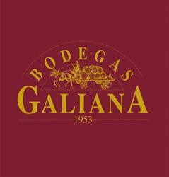 Horario de apertura Bodegas Galiana, Ciudad Real