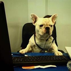 Hospital Veterinario Parque de Berlín en Madrid (Chamartín) - Horario de apertura