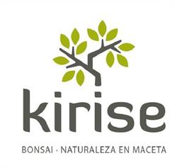 Horario de apertura Kirise, Valladolid