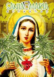 Santa Maria Growshop en Barcelona (Ciutat Vella) - Horario de apertura