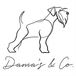 Horario de apertura Dama's, Terrassa