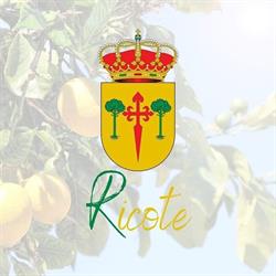 Horario de apertura Ayuntamiento De Ricote, 