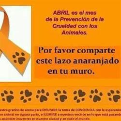 Horario de apertura Peluquería Canina San Isidro, Cómpeta