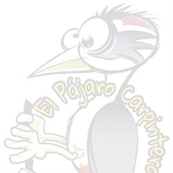 Horario de apertura El Pájaro Carpintero, Valladolid