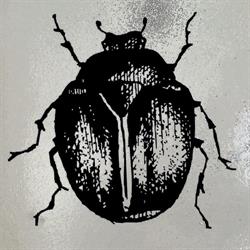 Horario de apertura Beetle Bilbao,