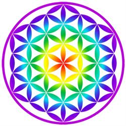 Horario de apertura Namasté, Elda