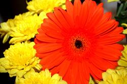 Horario de apertura Flores y mas, Playa de los Cristianos