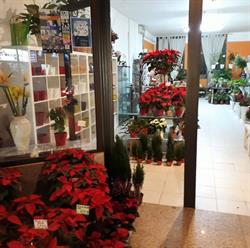 Horario de apertura Flores y mas, Playa de los Cristianos