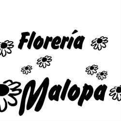 Horario de apertura Floreria Malopa, Cangas