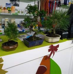 Horario de apertura Tierra Animal, Talavera de la Reina