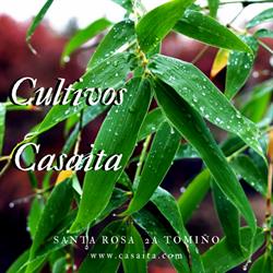 Horario de apertura Cultivos Casaita S.L, Pontevedra