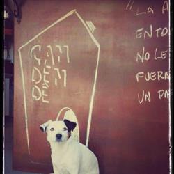 Can Dende en Barcelona (Sant Martí) - Horario de apertura
