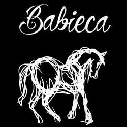 Horario de apertura Babieca Copas, Alcalá de Henares