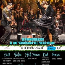 Horario de apertura Asociación Cultural Entre Flamencos del Puerto, Aguadulce