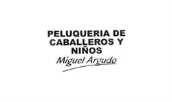 Horario de apertura Peluqueria Miguel Argudo, Jerez de la Frontera