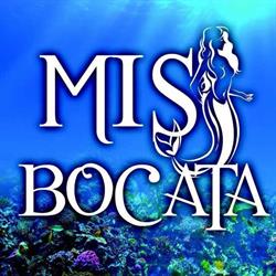 Horario de apertura Mis Bocata c.b., Ponteareas