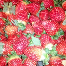 Horario de apertura Vosa Fruta c.b., Moaña