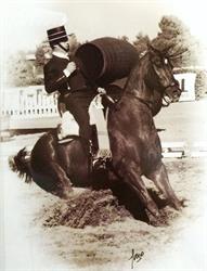 Horario de apertura La Bodegueta del Pagès, Tarragona