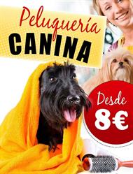 Horario de apertura Peluqueria Gat I Gos, Alcoi