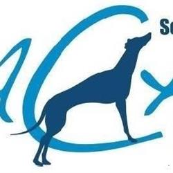 Aachen Servicios Veterinarios en Valencia (Patraix) - Horario de apertura