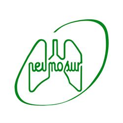 Neumosur Asociación de Neumología y Cirugía Torácica del Sur en Sevilla (Los Remedios) - Horario de apertura