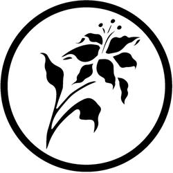 Horario de apertura Restaurante Flor de Valencia,