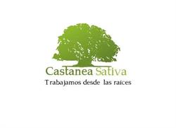 Horario de apertura VIVEROS CASTANEA SATIVA, Cubillos del Sil