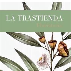 Horario de apertura Floristería La Trastienda, Alicante