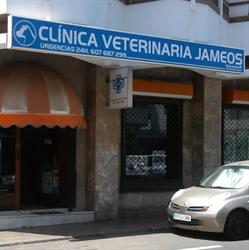 Horario de apertura Clínica Veterinaria Jameos, Arrecife