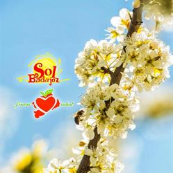 Horario de apertura Sol de Badajoz S.L., Valdivia