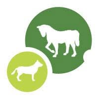 Horario de apertura Clínica Veterinaria Azabache, El Ejido