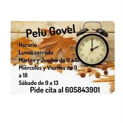 Horario de apertura Pelu GOVEL, Castellón de la Plana
