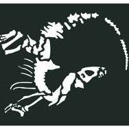 Horario de apertura Museo de Paleontologia de Castilla-La Mancha, Cuenca