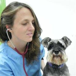 Horario de apertura Sana Sana Centro Veterinario, Murcia