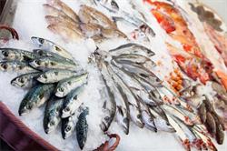 Horario de apertura Pescaderia Reyes Del Mar, Ourense