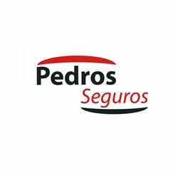 Horario de apertura Pedro Seguros, Paterna
