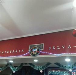 Selva Restauracion Cafeteria Sl. en Madrid (Tetuán) - Horario de apertura