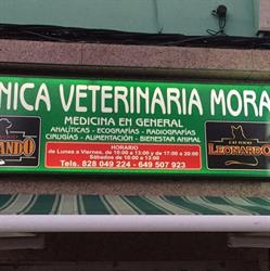 Horario de apertura GARFIELD TIENDA DE ANIMALES Y CLINICA VETERINARIA MORA, La Aldea de San Nicolas