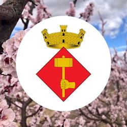 Horario de apertura Ayuntamiento de Massalcoreig, 