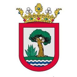 Horario de apertura Ayuntamiento De Brenes, 