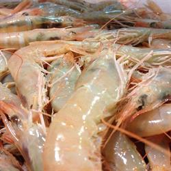 Horario de apertura Pescaderías PESCADOS Y MARISCOS ESPINETE, Albolote