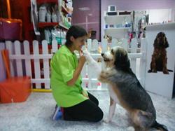 Horario de apertura Wuauh! peluqueria canina, Logroño