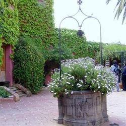 Horario de apertura El Morabito, Ronda