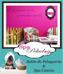 Horario de apertura SPA PELUDOG, Azuqueca de Henares